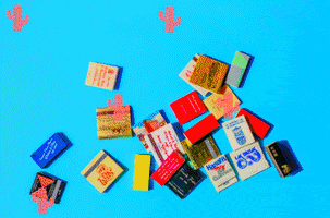 Cactus Rcm GIF by Logan Stewart