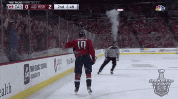 happy 2019 stanley cup playoffs GIF by NHL