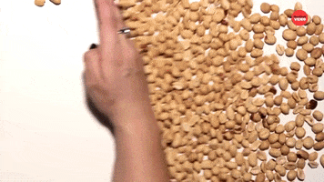 Peanut Butter Facts GIF by BuzzFeed