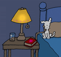 Nighty-night GIFs - Get the best GIF on GIPHY