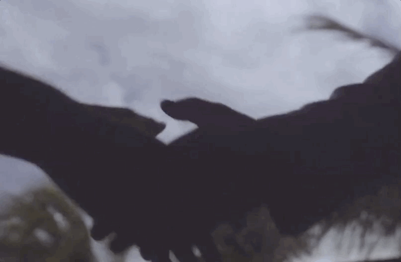 Mad Hatter Party GIF by Half Moon Run Find & Share on GIPHY