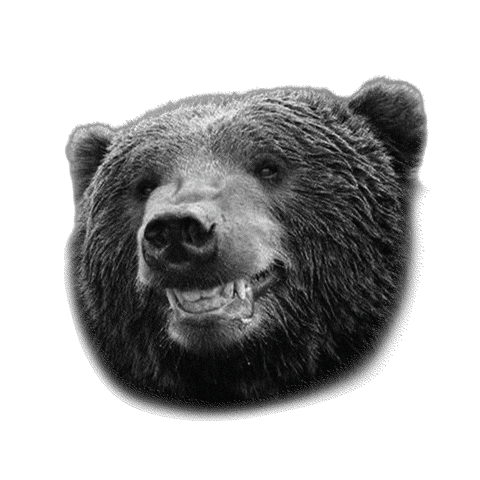 Sticker by Escola Municipal d'Art d'Igualda