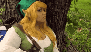 Legend Of Zelda Cosplay GIF