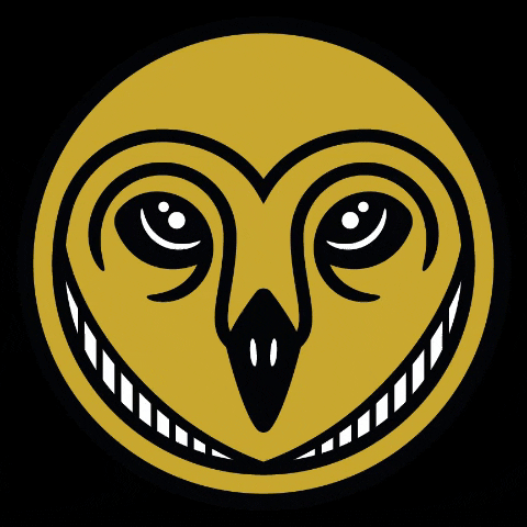 Canvasdesigncompany logo owl graphic design canvas GIF