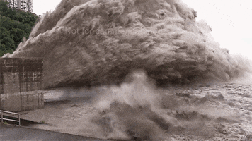 hot dam GIF by Digg hot dam GIF by Digg