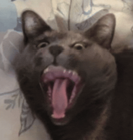 Luna Bazooka GIF