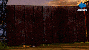 Happy Animation GIF by Mola TV Kids