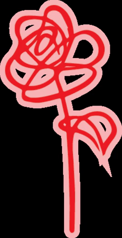 Girl Supportyourlocalgirlgang GIF by GirlGang