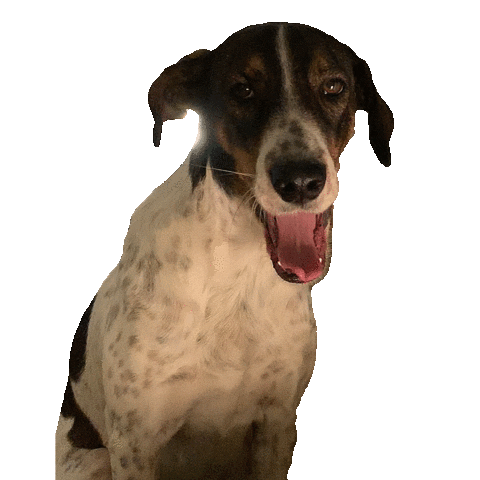 Tired Dog Sticker by 150UP