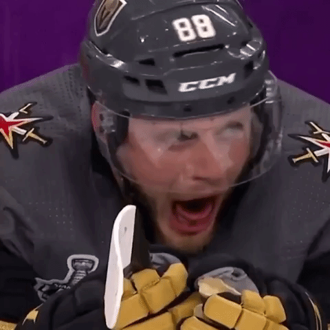 bored golden knights GIF