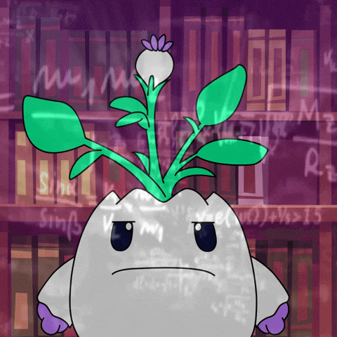 Studying Back To School GIF by Magic Eden