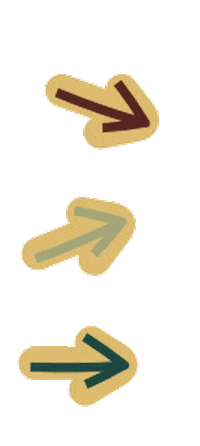 Stone Fox Swim Sticker