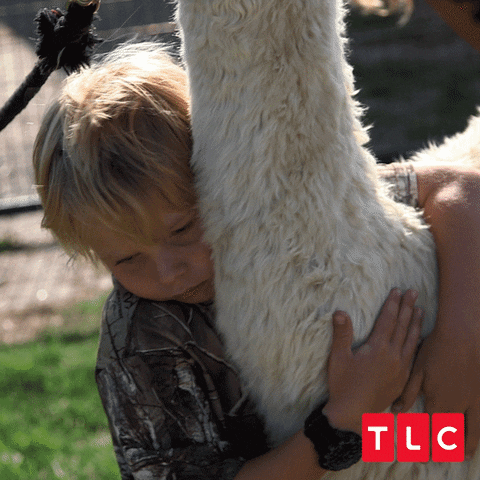 Alpacca Love GIF by TLC