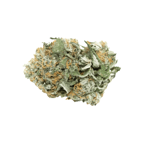 Le jardin du cbd Sticker