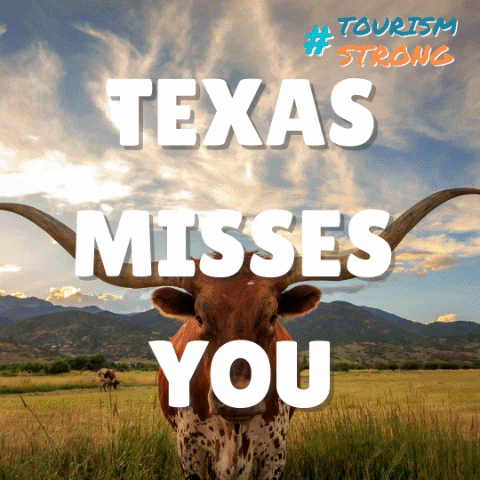 Texas GIF