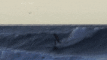Surfing GIF