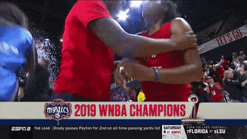 Wnba Playoffs GIF by WNBA