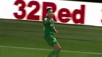 Waving Come On GIF by Sheffield Wednesday Football Club