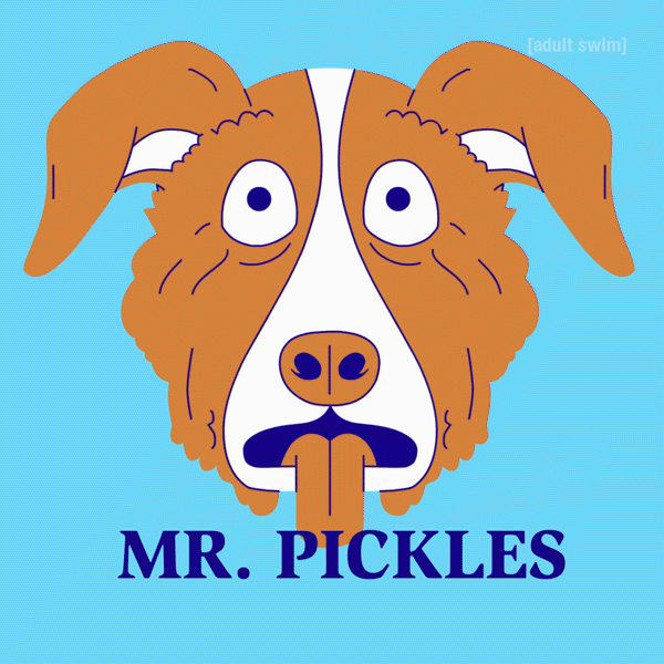 Happy Mr Pickles GIF by Adult Swim Find & Share on GIPHY