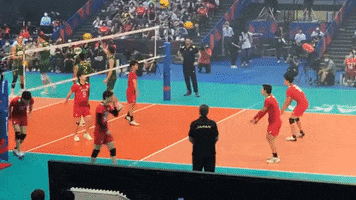 Sport Synchronize GIF by Volleyball World