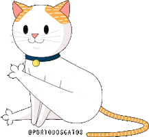 Cat Limpar Sticker by Porto dos Gatos