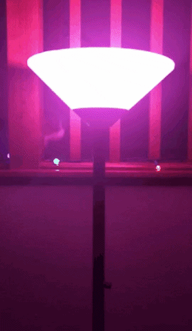 Emz Blendz GIF