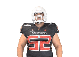 Happy Football Sticker by Les Dauphins de Nice