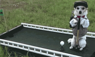 pup golfing GIF