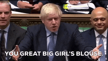 Boris Johnson Parliament GIF