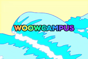 WOOWcampus playa woow woowcampus GIF