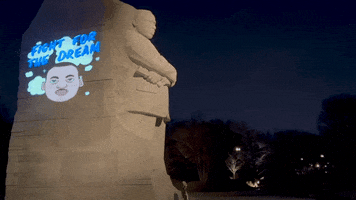 Voting Rights Projection GIF by Creative Courage