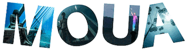 Museum of Underwater Art Sticker