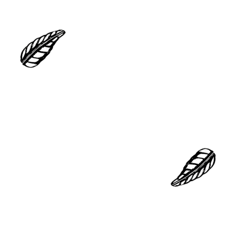 Freckle Face Jewellery Sticker