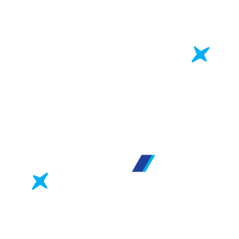 All Nippon Airways Sticker
