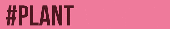 Flower GIF by Bulbious