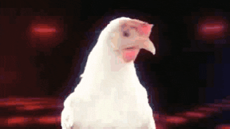 https://media0.giphy.com/media/Zg7clvqHE3CdW/giphy.gif?cid=28f76e61w5s6gasqm5hzfmt5wjusubp733c095vbba7qrkda&rid=giphy.gif&ct=g