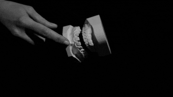 Black And White Hand GIF by Sub Pop Records