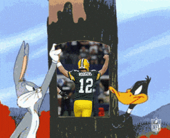 bugs bunny nfl GIF by jakey