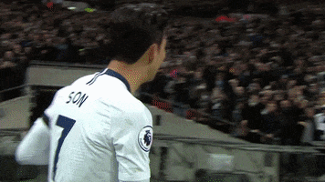 come on you Sp**s son heung min GIF by Tottenham Hotspur