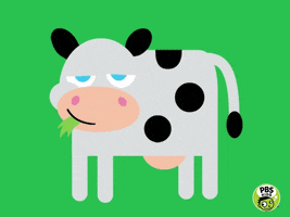 Hungry Food GIF by PBS KIDS