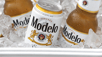 Modelo Beer GIF by Modelo USA