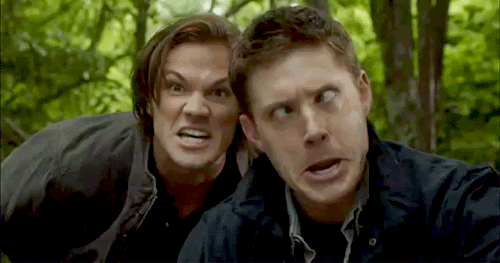 Dean Winchester Sam GIF - Find & Share on GIPHY