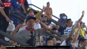 Happy Red Flag GIF by MotoGP