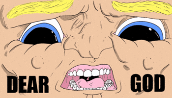 What The Hell Wow GIF