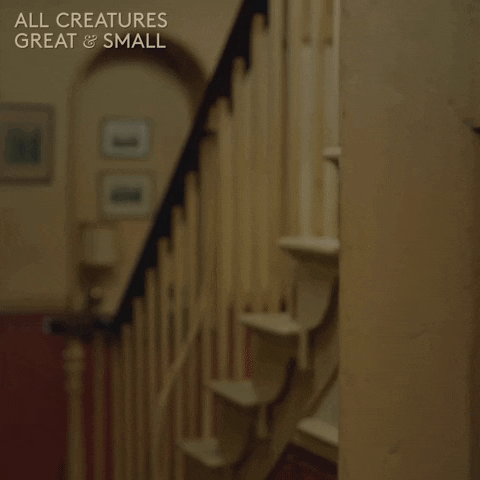 Door Looking GIF by All Creatures Great And Small