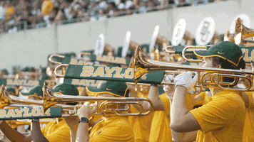 Baylor Bears Band GIF by Baylor Athletics