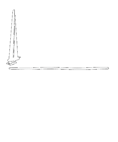 New Zealand Beer Sticker by Steinlager