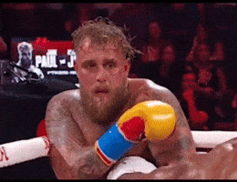 Jake Paul Boxing GIF
