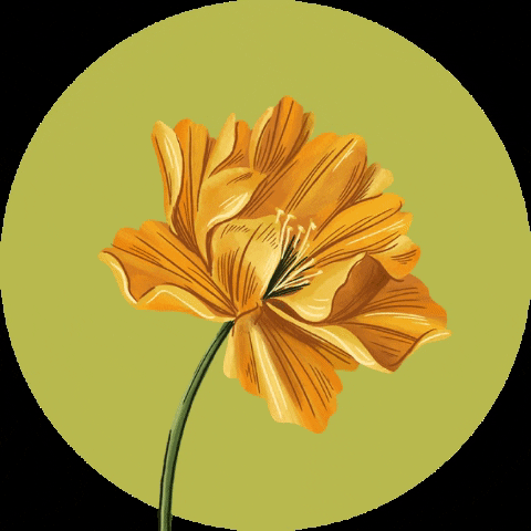 Juno CR GIF