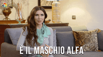 Forte Maschio GIF by discovery+